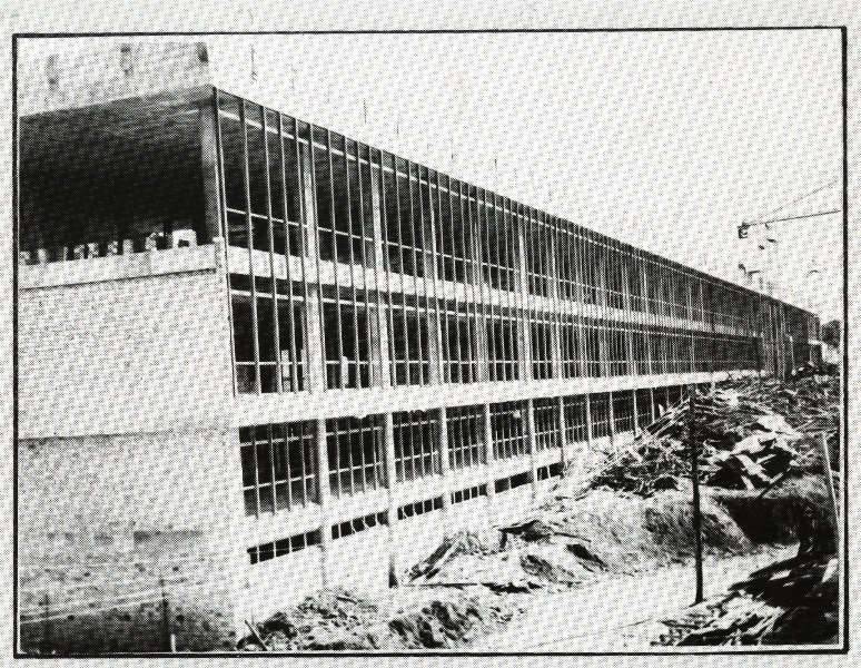 Primeira foto